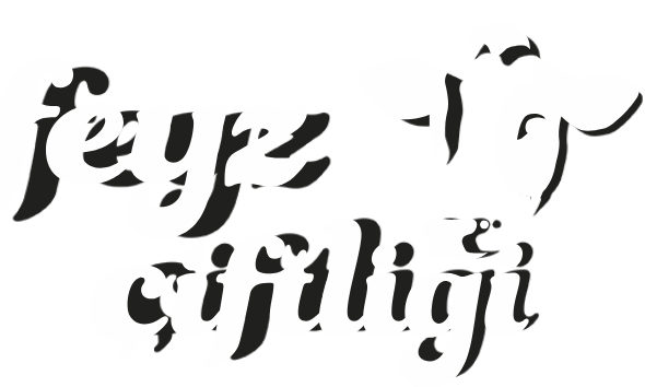 Feyz Logo